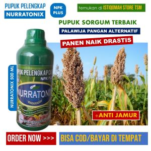 PUPUK SORGUM Pengganti Nasi / Gandum Terbaik - Pupuk NURRATONIX NPK Plus Anti Jamur Melebatkan Sorgum Padat dan Berisi - Pupuk Pengganti Urea Palawija