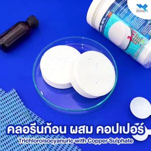 คลอรีนก้อน 90% ผสมคอปเปอร์ ซัลเฟต ขนาด 1 Kg MULTI-ACTION 3 in 1