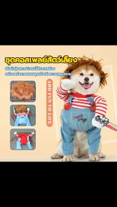 ชุดสุนัขเล็ก - 4 ขนาด สำหรับชู่หมา ลูกแมว สัตว์เลี้ยง น้องแมว และคอสเพลย์สัตว์เลี้ยง ฮาโลวีน