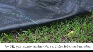 พลาสติกคลุมดิน ผ้าคลุมหญ้า พลาสติกคลุมวัชพืช กำจัดวัชพืช ผ้าคลุมวัชพืช พลาสติกเกรดส่งออก ผสมUV ฆ่าหญ้า ทำเฉพาะคุณภาพ 1เดือนเห็นผล 3-5 ปี รับประกันสินค้า