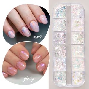 Set nhũ khổng tước 12 màu siêu sáng trang trí móng tay nail