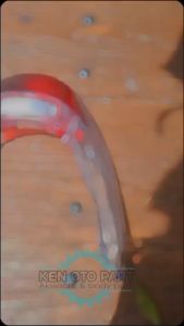 MIKA KACA LAMPU STOP BELAKANG VARIO 110 KARBU LAMA OLD 2006-2010