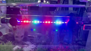ไฟตู้ปลา LED RGB (ปรับสีได้3 สเต็ป) T4 T200-T1200 สวยงามยิ่งขึ้น ใช้ได้ทั้งในน้ำและบนบก