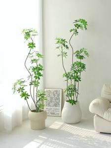Luxury Indoor Decorative Large Potted Plant