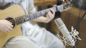 Xtuga UX87 Condenser Microphone for Studio Recording Capsule Podcast