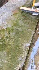 Heavy Duty Long Handle Floor Scrub Brush: Your Ultimate Cleaning Solution