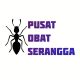 pusat obat serangga