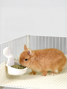 PET AND YOU | Bát Ăn Cho Thú Cưng Nhỏ Dành Cho Thỏ Và Các Loài Thú Nhỏ Khác
