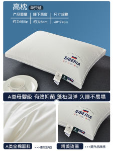 หมอนรองคอผู้ชายของโรงแรมแกนกลางสำหรับคนเดียวใช้ในบ้านคู่ชุดสูงทั้งสี่เหลี่ยมผืนผ้าบริสุทธิ์ ผ้าฝ้าย โพลีเอสเตอร์ ใยเติม