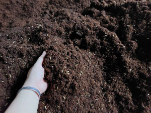 Đất trồng rau sạch và hoa kiểng DS-05 (20 dm3)