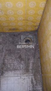 (BERSIHIN) Pembersih Toilet WC Kerak Lantai Kamar Mandi Kloset Kerak Jamur Serbaguna Rumah Tangga