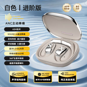 Long-Lasting Ear-Hanging Sport Running Fitness Bluetooth Earphones Over-The-Head Open Non-In-Ear OWS Bass Stereo Voice Control