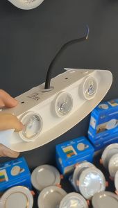 Đèn Led trang trí hắt tia 2 đầu 6W (chống nước) ánh sáng vàng