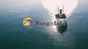 Bingolife Reel BC Reel Pancing Laut 18+1bb 8.1:1 Reel Baitcasting Reel Pancing BC Logam