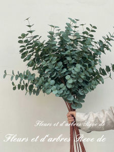 Artificial Eucalyptus Leaf Fake Flower Dried Flower Home Decoration Living Room Tabletop Floral Arrangement Photography Prop
