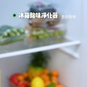 Rechargeable Ozone Generator Refrigerator Deodorizer Sterilizer Fresh Keeper Odor Remover Purifier For Fridge Kitchen