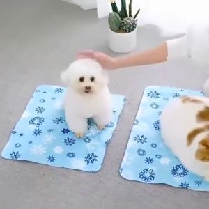 เสื่อสัตว์เลี้ยง นุ่มนิ่ม ผ้าปูโซฟา ผ้าปูกันรอย ขนาดใหญ่ ผ้าปูกรง แผ่นนอนรองกรง เสื่อ ที่นอนแมว สูง พรมปูพื้น ราคาช่วยเพิ่มโอกาสสัดส่วนกับการจัดส่งที่รวดเร็ว