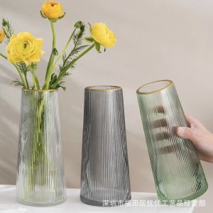 Bình Thủy Tinh Vẽ Vàng Đơn Giản Sáng Tạo Bán Buôn Bình Trang Trí Phòng Khách Bình Hoa Hồng Màu Hoa Thủy Canh Cao Cấp