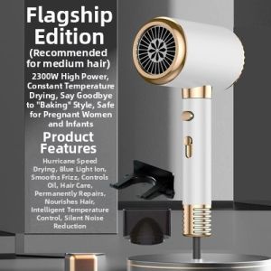 High Power Quick Drying Ionic Quiet Electric Hair Dryer