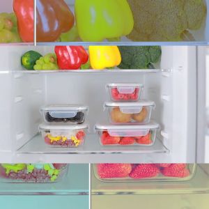 LOCAUPIN B1T1 Lunch Box for Adult Borosilicate Glass Food Storage Dispenser Microwave Oven Safe Airtight Food Keeper