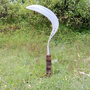 Arit rumput bintang9 uk besar asli madura