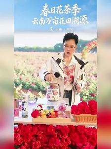 Gift Rose Tea Big Flowers Cold & Hot Infusion