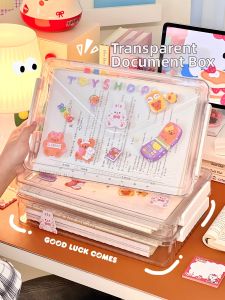 Cute Transparent A4 Document Organizer