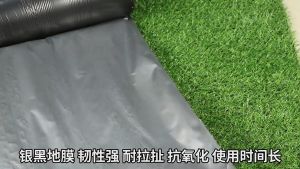 Silvershine Lebar 0.6M0.8M1M1.2M 0.03 Silvershine Plastik Penutup Tanah Roll Plastik Anti Rumput Penutup Batas Bumi Fertigasi Tanaman