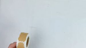 Label Sticker (300 Pcs)/ Sticker Label Kraft/ Blank Stiker Tag/Sticker Kraft Paper/ Blank Kraft Paper/Label Diy