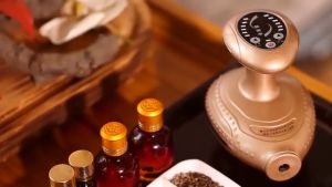 Máy Cạo Gió Giác Hơi Điện Tử Cao Cấp  Sử Dụng Điện Làm Tan Cơn  Đau Nhức Mệt Mỏi Toàn Thân Khí Huyết Được Lưu Thông Tặng 2 Chai Dầu Ngãi Cứu.