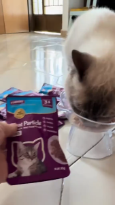 LDECO [12 Packs] 100% Natural Ingredients Cat Wet Food Pouch 85g | Chicken & Tuna & Beef Flavor for Kittens & Adult Cats 湿粮