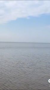 Cá Cơm Khô Bỏ Đầu TopFreshi - Đặc Sản Biển Thanh Hóa Sạch Đậm Đà Hương Vị Truyền Thống