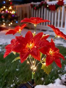 Đèn Sân Vườn Năng Lượng Mặt Trời Poinsettia Màu Đỏ LED Ngoài Trời Chống Nước Trang Trí Giáng Sinh Cho Bãi Cỏ Lối Đi Sân Sau Mùa Đông