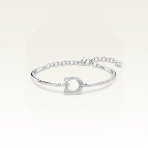 Swarovski | Gift Charm Necklace