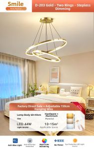 Smile | New Luxury Modern Minimalist Golden Ceiling Light
