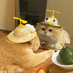 น่ารัก หมุน ฤดูร้อน หมวกกันแดดแมวสุนัขสัตว์เลี้ยงอุปกรณ์เสริมภาพสนุก Headwear แฟชั่นสัตว์เลี้ยง < Ne2> หมวกฟางขนาดสากล