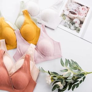 Push Up Bra Menyusui Masa Hamil Menyusui Celana Dalam Menyusui Lapisan Katun Warna Polos 1006