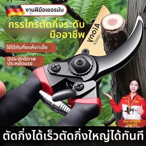 Professional Pruning Shears