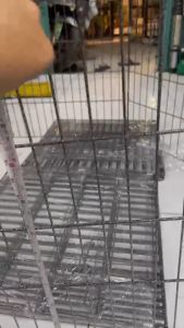 Quây chó sơn tính điện Hàng rào 6 tấm 55x55 cũi chó mèo PETZONEHCM