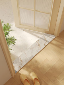 Ultra-Narrow Silicon Dinosaur Foot Mat Bathroom Entrance Door Mat Absorbent Water Home Entrance Door Stone Ground Pad