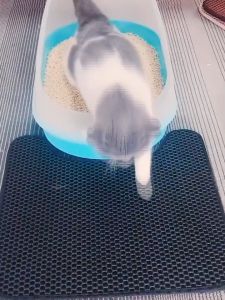 thảm lót chống cát văng dành cho mèo - T3 PETS SHOP