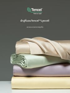 shui yang | Summer Cooling Silk-Like 60-Count Bed Sheet 3 Piece Set