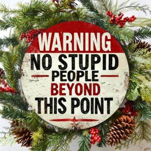 Room Decor 1pc Funny "No Stupid People Beyond This Point" Metal Sign Round Metal Warning Sign 7.87x7.87 Inches 2D High
