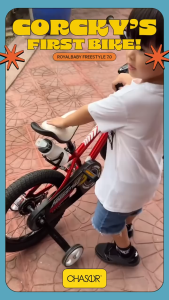 RoyalBaby 16" Freestyle 7.0 BMX Bike for Kids Ages 4-7 Years Old w/ Training Wheels (16B-GP) Collection