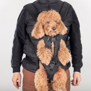 Lovinland Pet Adjustable Breathable Dog Carrier Bag Elastic Length Shoulder Chest Backpack Outing Dog Bag Cat Carrier Bag for shitzu