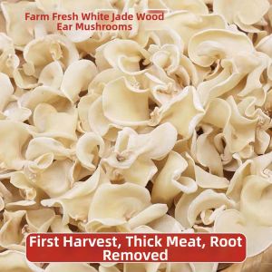 Clean Sulfur Free Dried White Jade Mushroom 500g