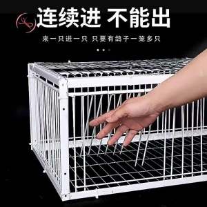 Lồng Bắt Chim Tự Động