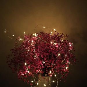 10PCS Wholesale 5m~1m LED Copper Wire Fairy Lights LED String Lights Party Wedding Indoor Christmas Decoration Garland Lights