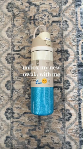 Owala FreeSip 24 oz Rolling In Stainless Steel Water Bottle Insulated Leak Proof BPA- Free