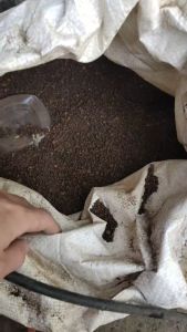 Sỏi suối nâu tự nhiên trang trí bể terrarium